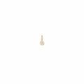 14K Yellow Gold Diamond Charm