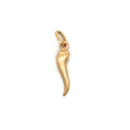 Cornicello Good Luck Charm in 14k Yellow Gold