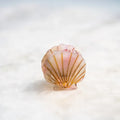 mini scallop shell hair clip