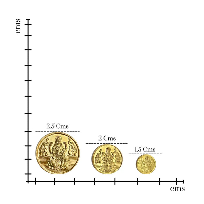 Silver Lakshmi Coin Earring