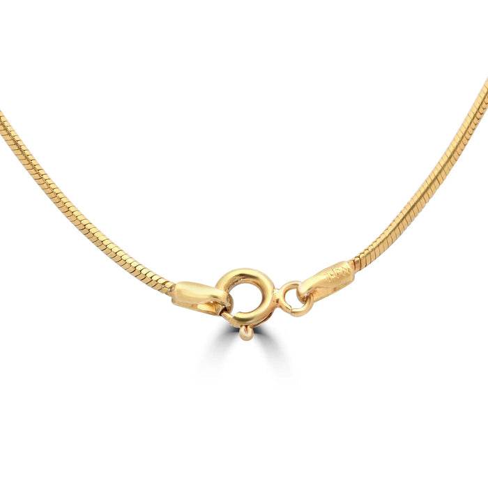 Silver Lakshmi Coin Necklace