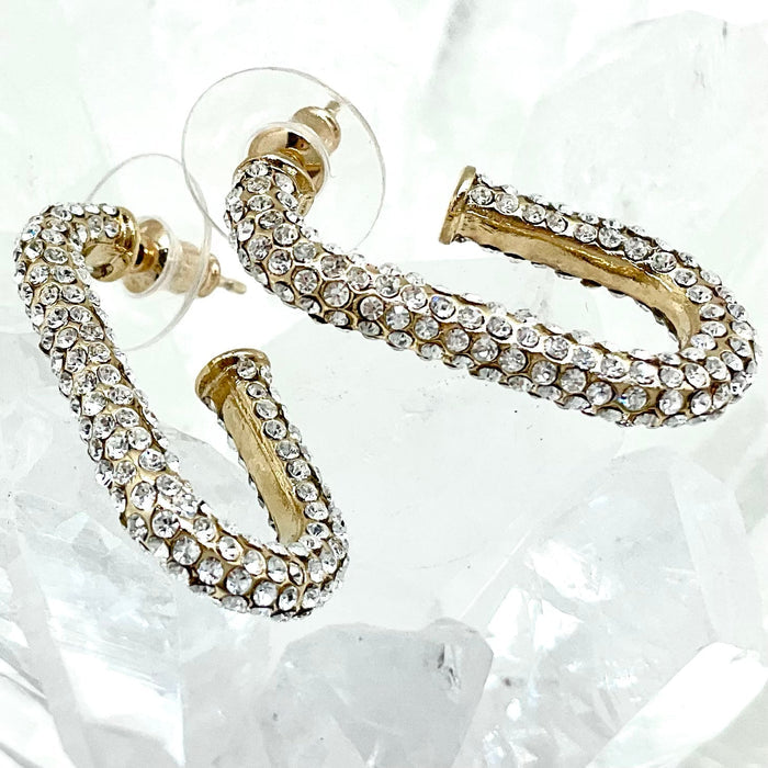 U-Shape Earrings